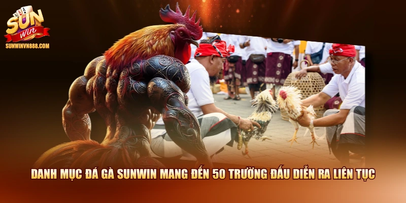 Danh mục đá gà SUNWIN mang đến 50 trường đấu diễn ra liên tục