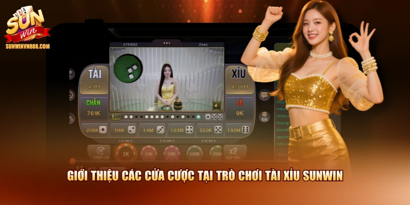 Giới thiệu các cửa cược tại trò chơi Tài Xỉu SUNWIN