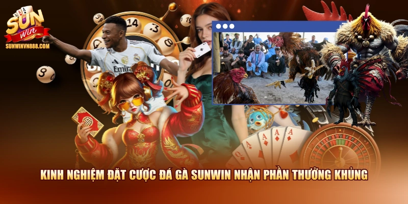 Kinh nghiệm đặt cược đá gà SUNWIN nhận phần thưởng khủng
